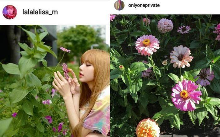 Không phải Jungkook, đây mới là tình cũ Lisa nhắc đến trong MV mới: Mỹ nam YG 1 thời, nay biến mất như chưa hề tồn tại- Ảnh 6.