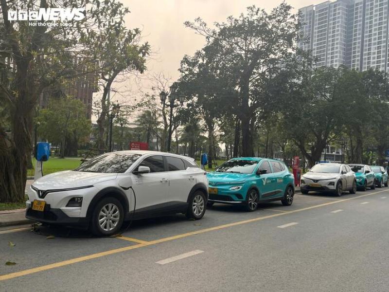 Hà Nội bật mode ‘chế độ xanh' từ phương tiện đến hơi thở- Ảnh 2.