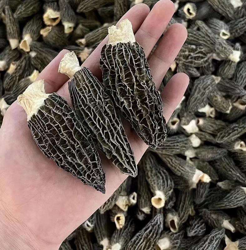 Cây dại quý hiếm bậc nhất thế giới, vị ngon hơn thịt, cực bổ dưỡng, 13 triệu đồng/kg- Ảnh 3.