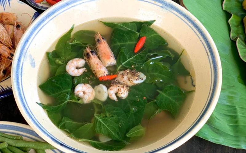 Đừng chỉ ăn quả, lá loại cây này quý như "nhân sâm người nghèo", ở quê mọc um tùm- Ảnh 3.