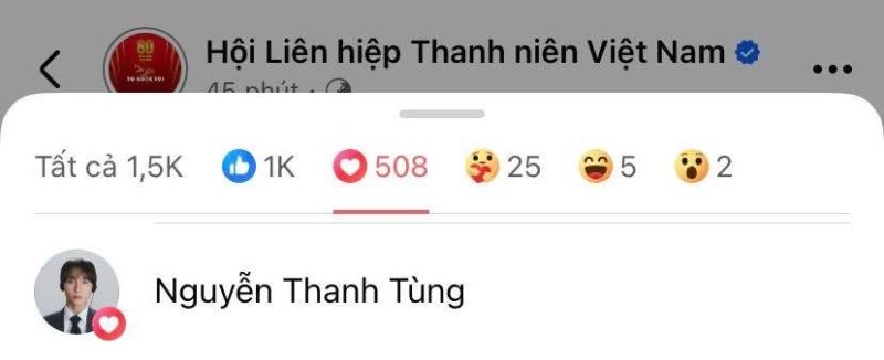 Sơn Tùng đã thả tim vào bài đăng gốc do fanpage Hội Liên hiệp Thanh niên Phụ nữ