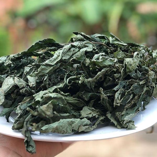 Loại lá đắt đỏ bậc nhất thế giới, 150 triệu đồng/kg, chỉ duy nhất Việt Nam sở hữu- Ảnh 7.