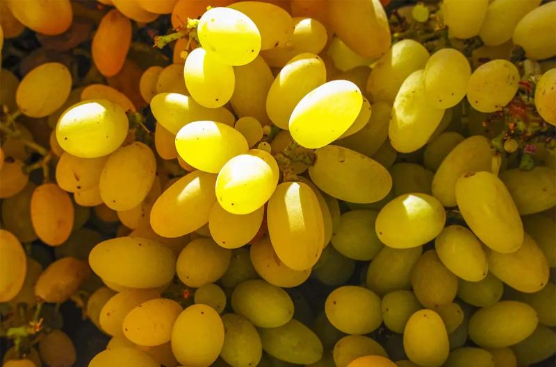 Giá nho đang rẻ, nhưng 4 nhóm người cần kiêng ngay, đừng vì tham mà mang bệnh- Ảnh 2.