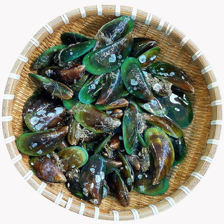 Một loại đặc sản quý của Việt Nam, xưa bám đầy ghềnh đá ít ai nhặt, nay được ví là “nhân sâm vùng biển”, người nước ngoài mê tít- Ảnh 1.