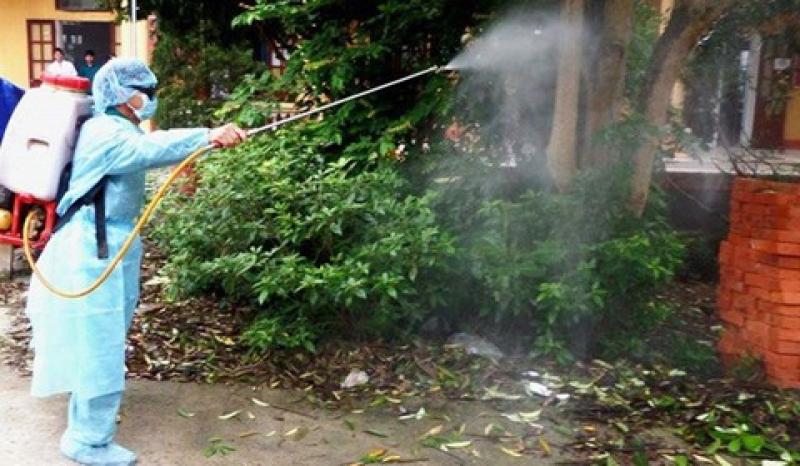 Nguy cơ dịch Chikungunya xâm nhập, chuyên gia chỉ cách phòng chống- Ảnh 1.
