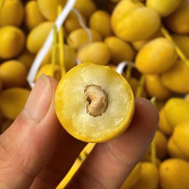 Loại quả kỳ lạ "cắn dọc thì ngọt, cắn ngang thì chát": Hóa ra là "khắc tinh" của ung thư và tiểu đường- Ảnh 1.