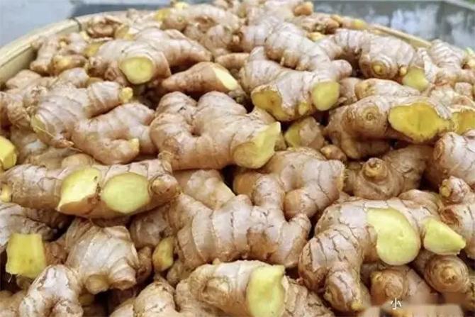 Gừng rất tốt nhưng nhiều người đang ăn sai cách- Ảnh 1.