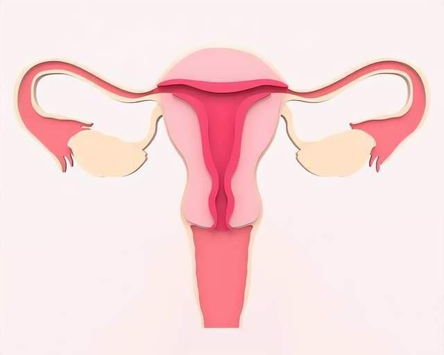 70% ung thư buồng trứng được chẩn đoán ở giai đoạn cuối: Phụ nữ sau tuổi 40 nếu gặp triệu chứng này cần khám ngay- Ảnh 3.