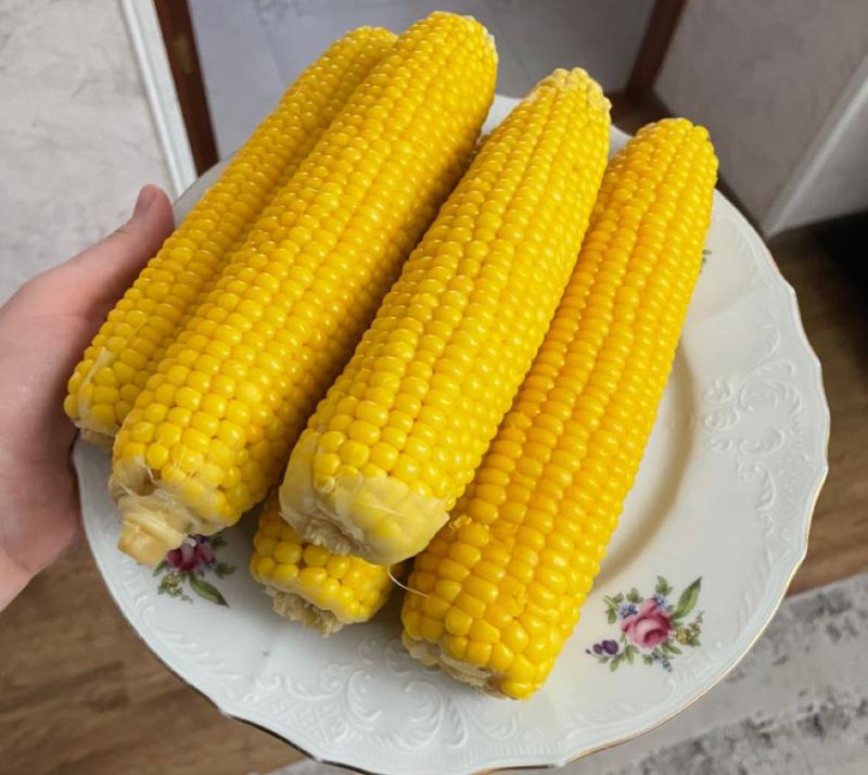 4 thực phẩm ăn khi đói vào buổi sáng không khác gì "máy quét rác" cho cơ thể, đẩy lùi ung thư- Ảnh 3.