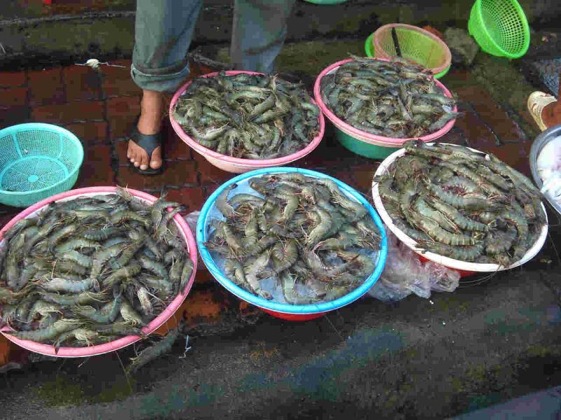 Chủ tiệm hải sản nói thẳng: “Chỉ người không biết mới mua 4 loại tôm này, cực hại sức khỏe, nhớ tránh xa"- Ảnh 1.
