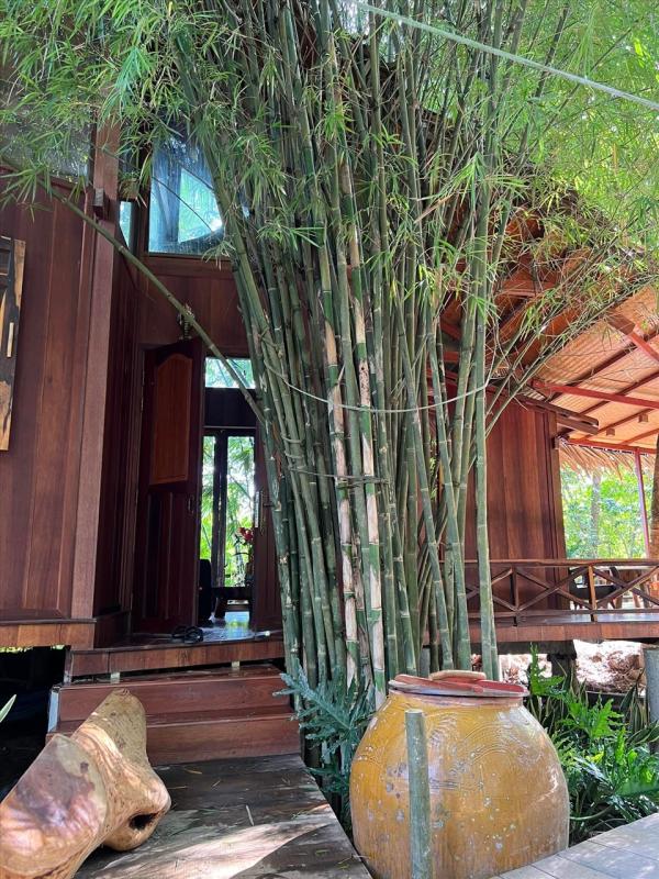 Nữ nghệ sĩ trẻ đẹp là CEO sở hữu spa làm đẹp, khu du lịch sinh thái 50.000m2, sinh 4 con cho đại gia- Ảnh 15.