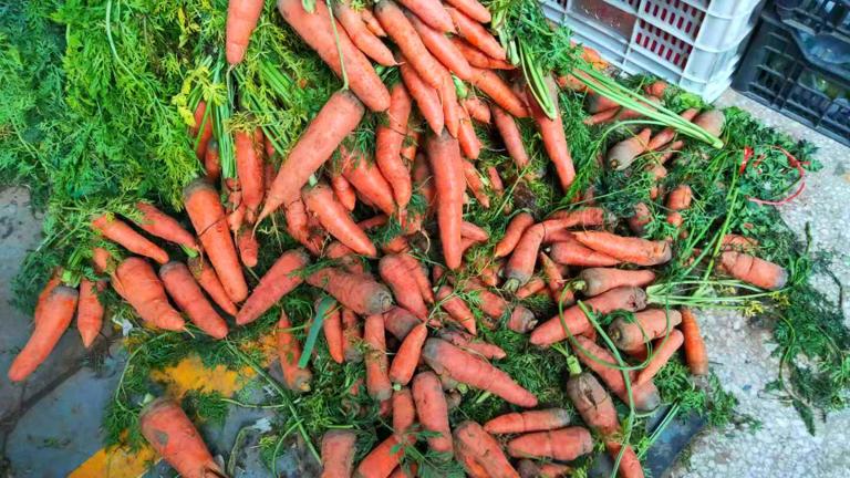Nhà nông nói thẳng: 5 loại rau củ "không cần thuốc trừ sâu" lại bổ như sâm, cứ yên tâm mà mua- Ảnh 3.