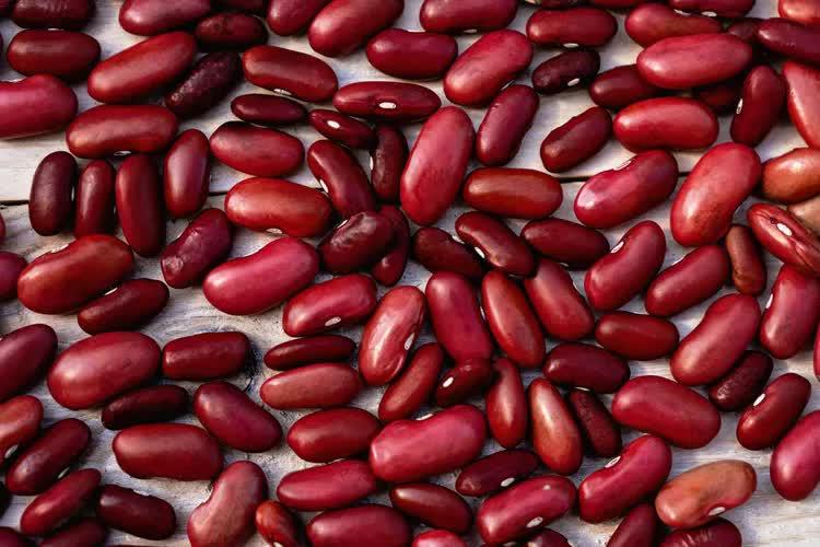 Rau bina nổi tiếng nhiều sắt hơn thịt bò nhưng 10 loại thực phẩm này còn giàu sắt hơn cả rau bina: Toàn thứ phổ biến ở chợ Việt- Ảnh 6.