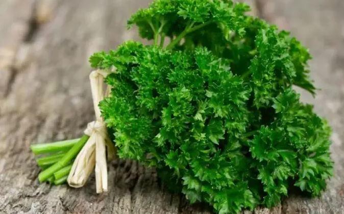 Loại rau được đánh giá "tốt bậc nhất thế giới", hoá ra là rau quen thuộc ở Việt Nam, ở quê mọc um tùm như cỏ- Ảnh 1.