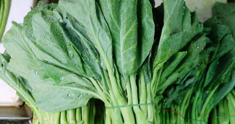 Loại rau được đánh giá "tốt bậc nhất thế giới", hoá ra là rau bình dân ở Việt Nam, ra chợ vừa nhiều vừa rẻ- Ảnh 3.