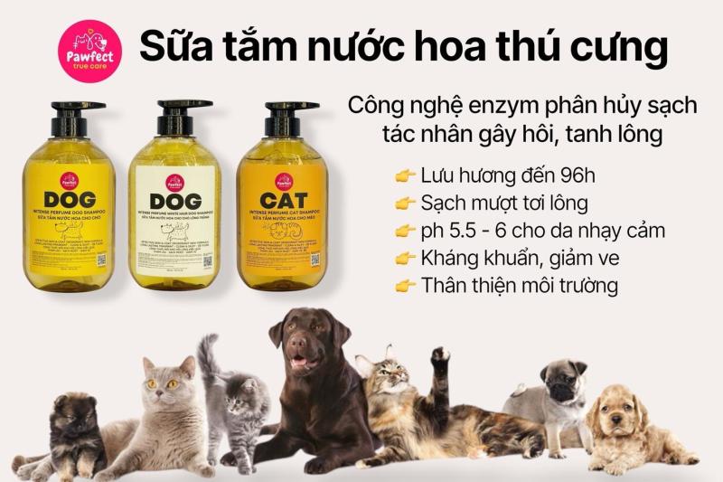 Bác sĩ thú y: Chọn sai sữa tắm, boss “rước họa”!- Ảnh 5.