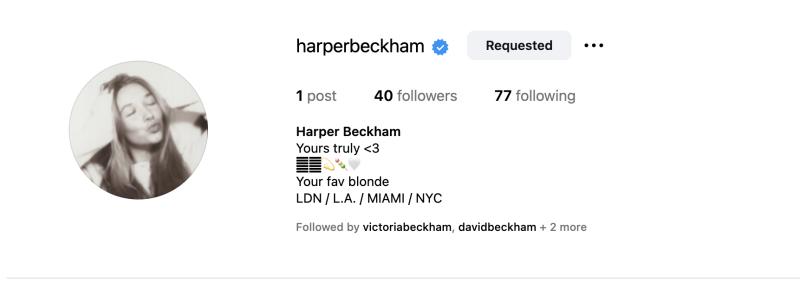 Tài khoản MXH đầu tiên của tiểu thư Harper Beckham có gì?- Ảnh 2.