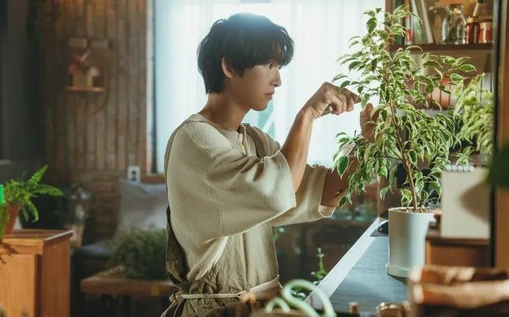 Khán giả lạnh nhạt với phim mới của Song Joong Ki, netizen mỉa mai: Người đàn ông hai lần hôn nhân, giờ đóng phim lãng mạn xem thấy kì- Ảnh 3.