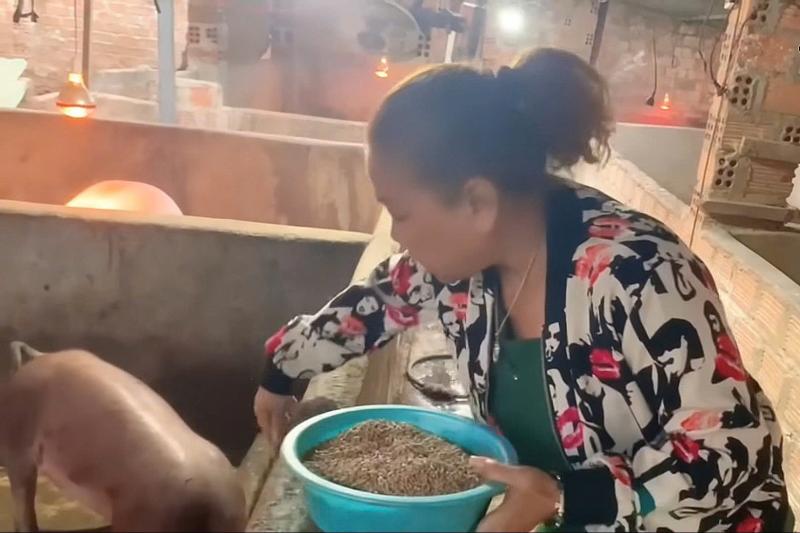 Sao nữ Vbiz tuổi U60: Về quê làm nông 