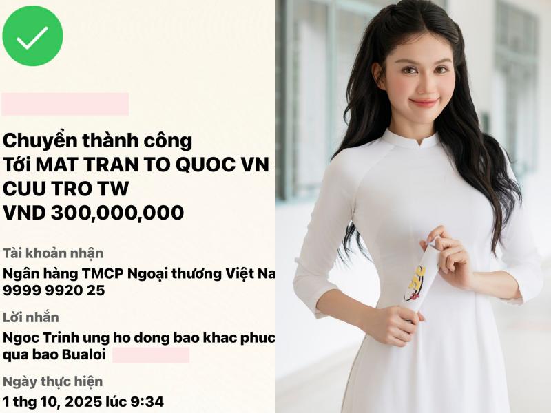 Trường Giang, Mỹ Tâm, vợ chồng Trấn Thành và dàn sao chung tay quyên góp khắc phục hậu quả bão lũ- Ảnh 8.