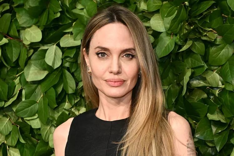 Angelina Jolie bị dồn tới đường cùng- Ảnh 1.