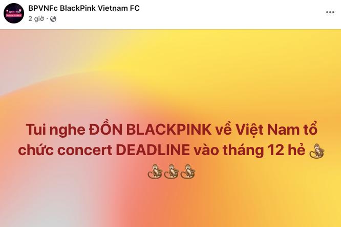 HOT: Rộ tin BLACKPINK trở lại Việt Nam, V-BLINK sắp "quẩy" siêu concert DEADLINE vào tháng 12?- Ảnh 1.