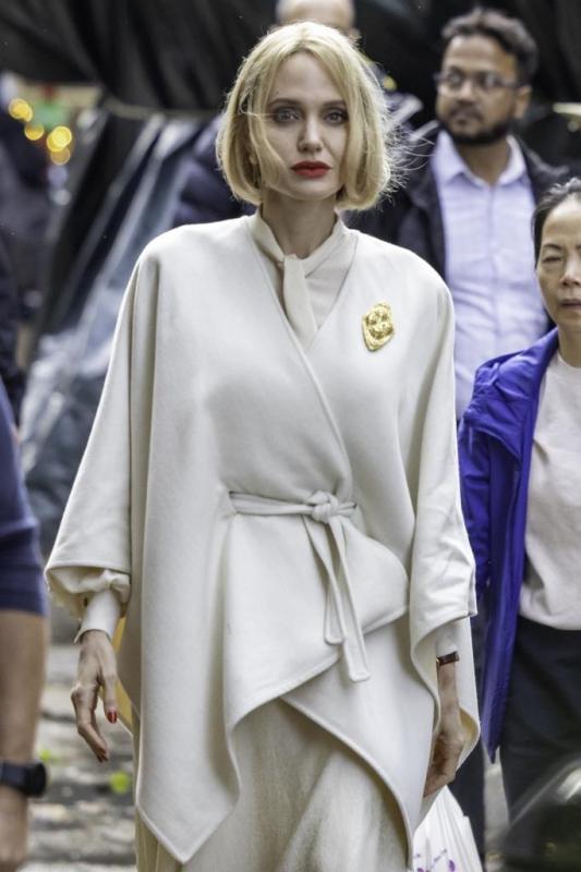 Angelina Jolie bị dồn tới đường cùng- Ảnh 5.