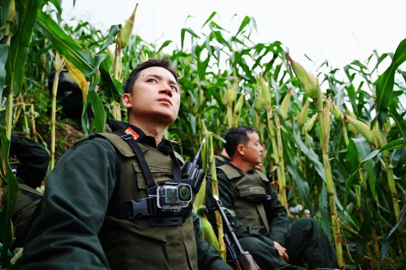 Nghệ sĩ tham gia 