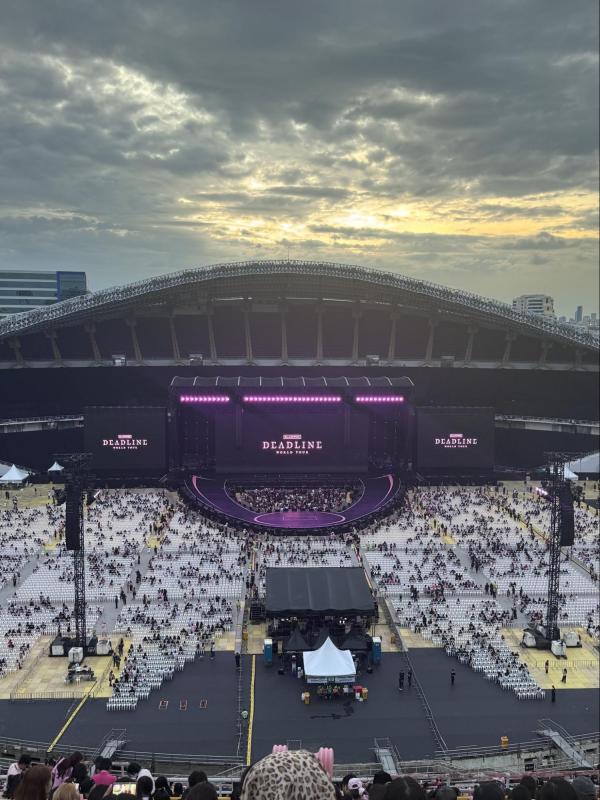 Cảnh tượng "phủ đen" chưa từng có tại concert BLACKPINK- Ảnh 2.