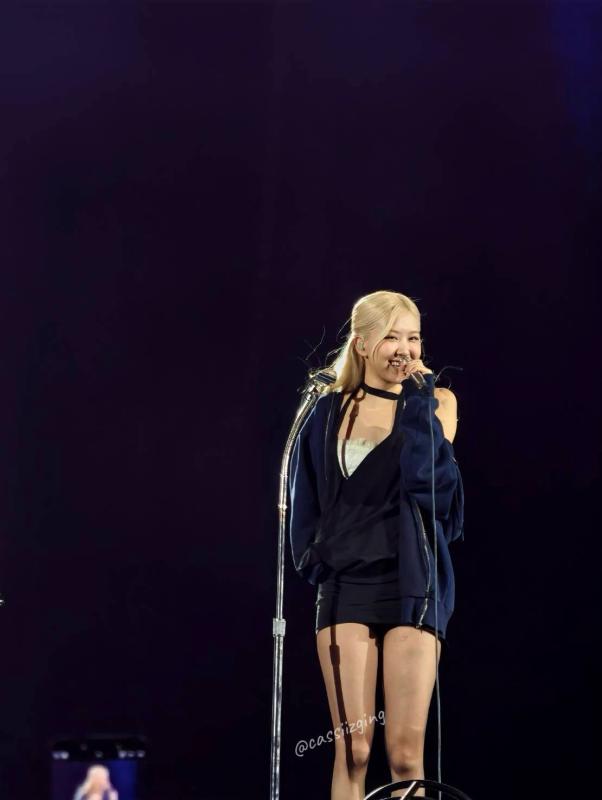 Cảnh tượng "phủ đen" chưa từng có tại concert BLACKPINK- Ảnh 6.