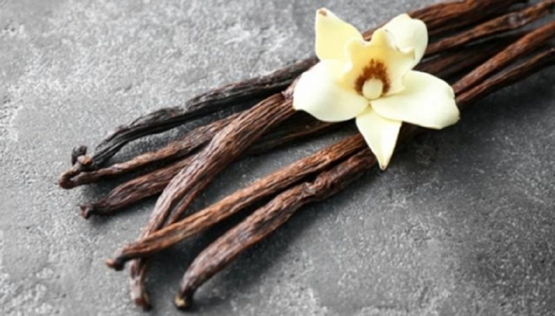 Loại quả đắt đỏ bậc nhất thế giới giá 15 triệu/kg, ở Việt Nam cũng có người trồng thành công- Ảnh 3.