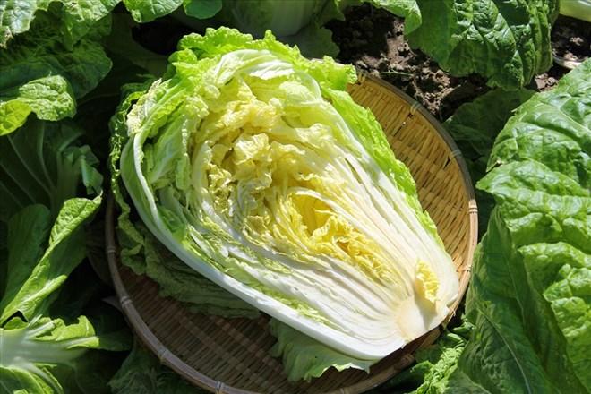 Mỹ đánh giá "rau tốt nhất thế giới", hóa ra là rau quen thuộc ở Việt Nam- Ảnh 1.
