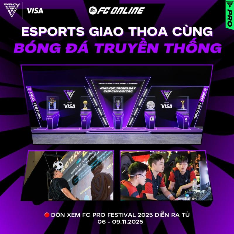 Việt Nam chính thức đăng cai tổ chức FC Pro Festival 2025 với sự hiện diện của Ricardo Kaká & Luís Figo- Ảnh 2.