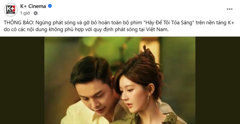 Phim của Triệu Lộ Tư bị xóa sổ hoàn toàn ở Việt Nam- Ảnh 4.