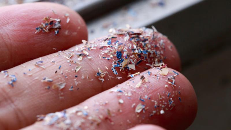 Top 2 gia vị chứa nhiều vi nhựa nhất trong bếp nhưng nhiều người Việt vẫn ăn mỗi ngày: Dùng càng lâu hết gia đình càng khỏe- Ảnh 1.