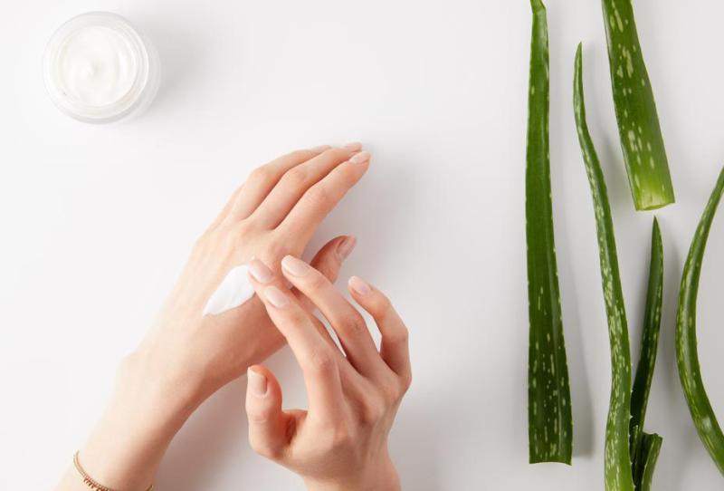 Loại cây là "thần dược" trong làm đẹp, có nhiều công dụng hữu ích- Ảnh 2.