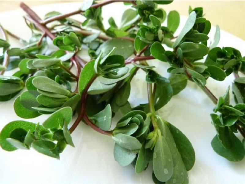 2 loại rau ít "ngậm" thuốc trừ sâu nhất chợ, nhiều người không biết mà mua- Ảnh 2.