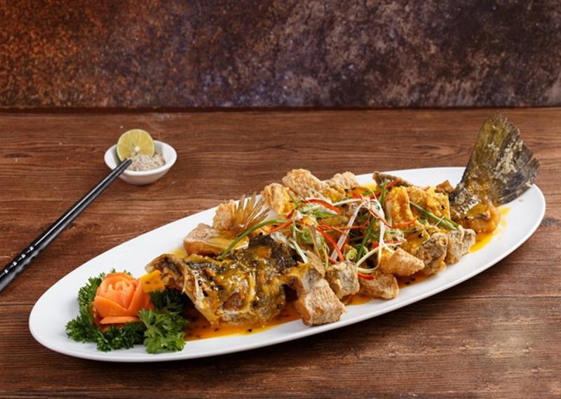 Loại cá được chuyên gia Trung Quốc khen 