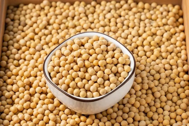Trong cuộc sống hàng ngày, có 4 loại thực phẩm nảy mầm không những không "độc" mà còn tốt hơn - có khi bạn đã từng vứt bỏ chúng- Ảnh 4.