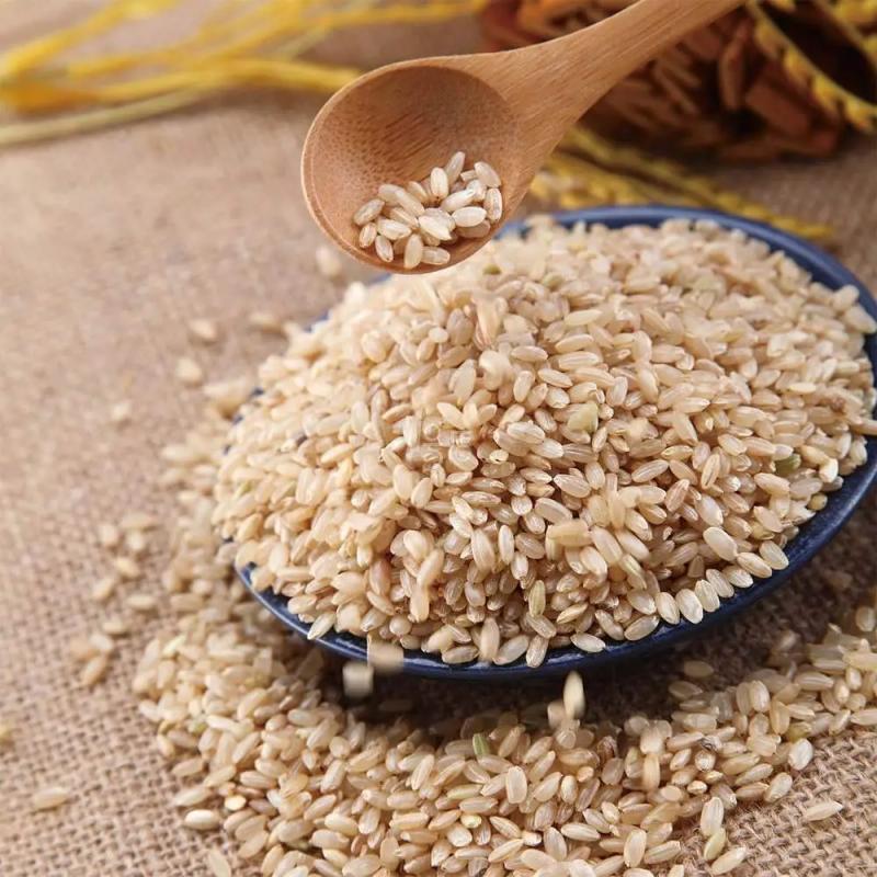 Trong cuộc sống hàng ngày, có 4 loại thực phẩm nảy mầm không những không "độc" mà còn tốt hơn - có khi bạn đã từng vứt bỏ chúng- Ảnh 5.