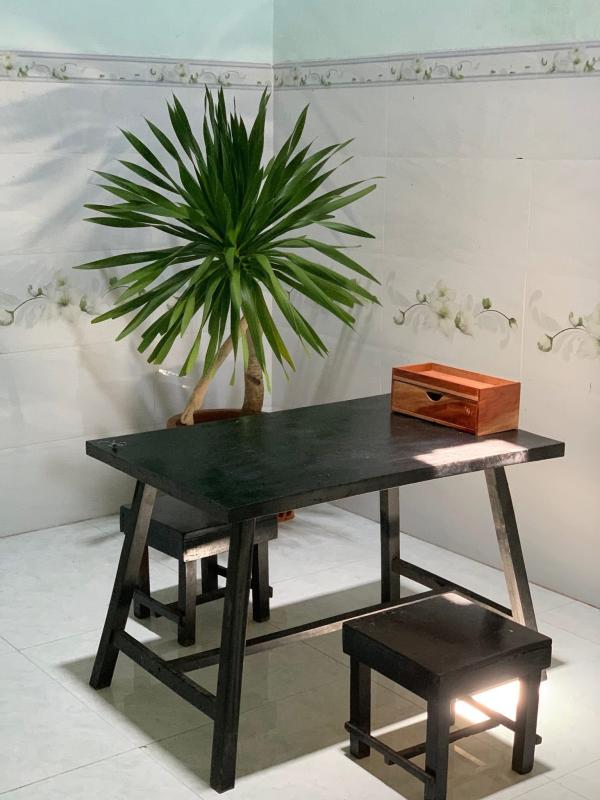 Rời Hà Nội về làng chài Phú Yên, cô gái 25 tuổi biến nhà thuê 2,1 triệu thành tổ ấm đẹp hơn cả resort- Ảnh 15.