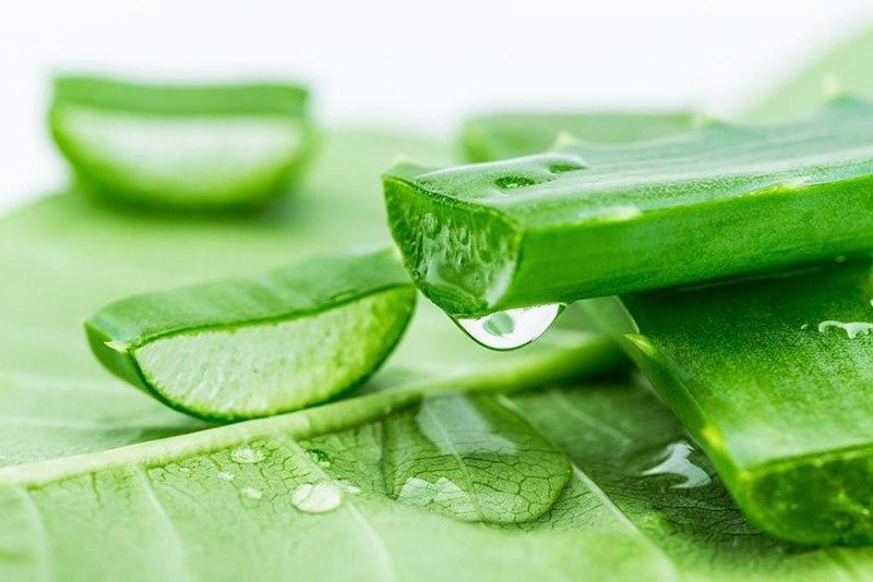 Loại cây là "thần dược" trong làm đẹp, có nhiều công dụng hữu ích- Ảnh 1.