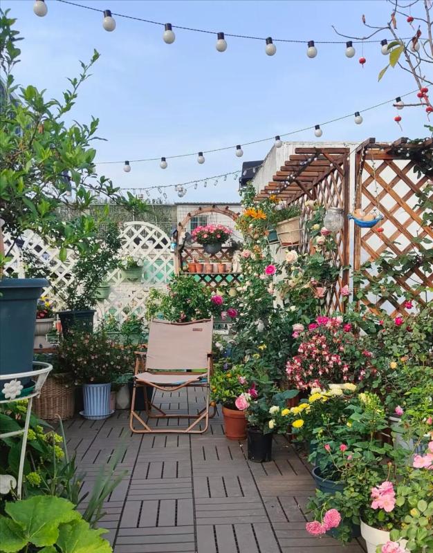 Căn nhà của Dương Vũ Anh, 53 tuổi, gây sốt: Decor sân vườn, bếp nhỏ, góc đọc sách đẹp như tạp chí- Ảnh 4. Căn nhà của Dương Vũ Anh, 53 tuổi, gây sốt: Decor sân vườn, bếp nhỏ, góc đọc sách đẹp như tạp chí- Ảnh 4.