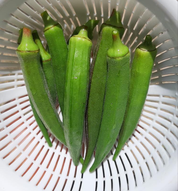 Ủ tóc 1 lần/tuần với nguyên liệu 