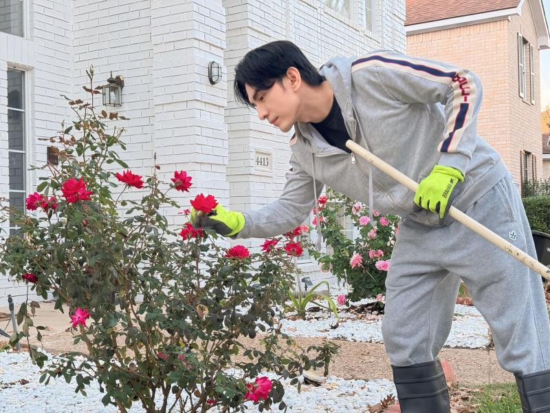 Toàn cảnh bất động sản của 