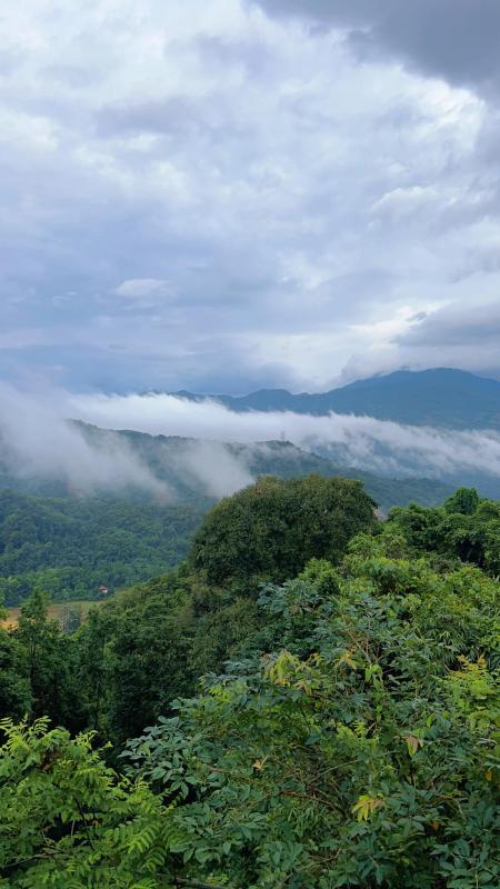 Cặp vợ chồng chi 3 tỷ xây nhà như cổ tích trên vùng núi Tuyên Quang: View triệu đô, 0 đồng rau củ- Ảnh 21.