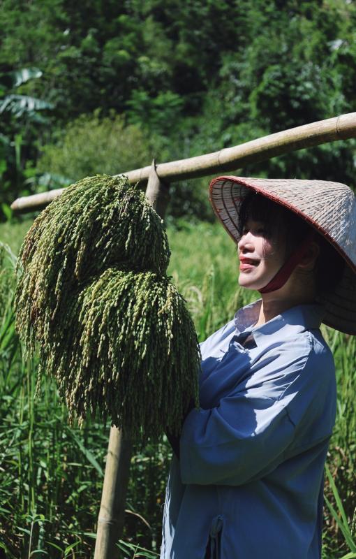 Cặp vợ chồng chi 3 tỷ xây nhà như cổ tích trên vùng núi Tuyên Quang: View triệu đô, 0 đồng rau củ- Ảnh 14.