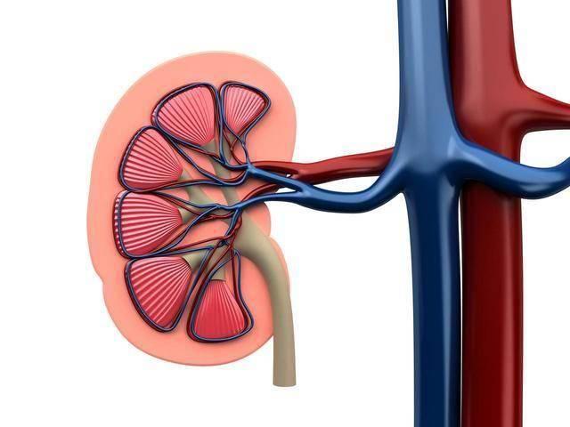 Làm việc này 15 lần/ngày, người đàn ông 50 tuổi được chẩn đoán suy thận, vợ anh khóc: "Tôi đã thuyết phục nhiều lần mà anh ấy không nghe"- Ảnh 4.
