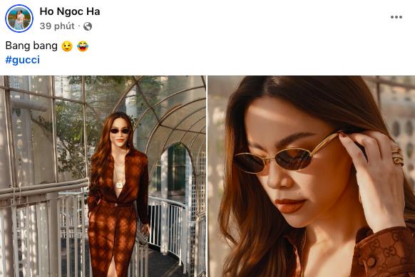 Bị cả cõi mạng đùa giỡn, Lệ Quyên viết tâm thư - Hồ Ngọc Hà đáp trả 2 chữ- Ảnh 5.