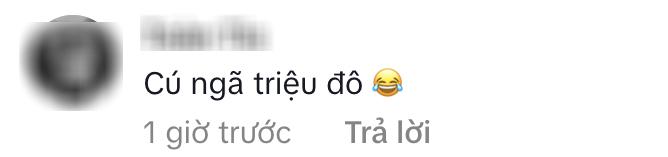 Cú ngã 